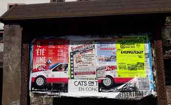 Fig. 11 : Panneau d’affichage à Bining.