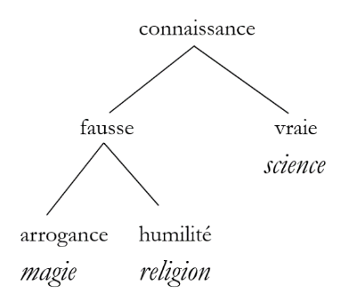 Figure 1 : La classification de Frazer