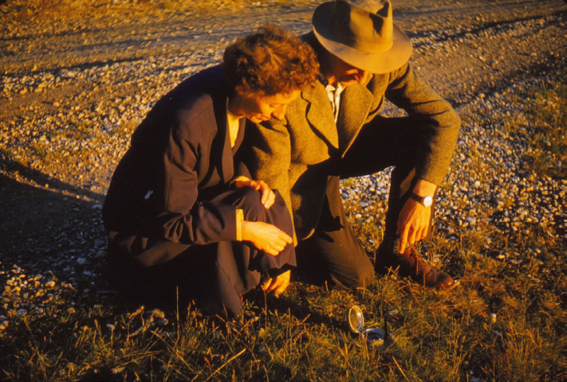 Fig. 4: Willem Frederik Hermans, “910 (20) Fjellangs in middernachtszon”, 1961