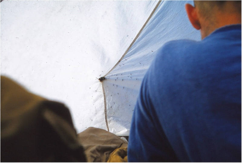 Fig. 7: Willem Frederik Hermans, “973 (9) Tent met muggen I”, 1961