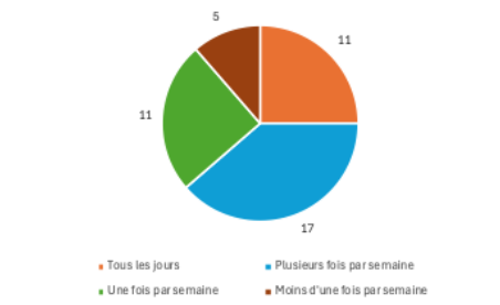 Figure 3 : À quelle fréquence utilisez-vous des outils numériques dans vos cours de FLE ?