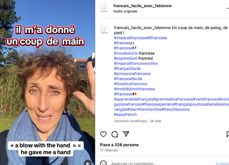 Figure 4 : Exemple de contenu du compte @francais_facile_avec_fabienne abordant les expressions idiomatiques (vidéo publiée le 17 février 2025)