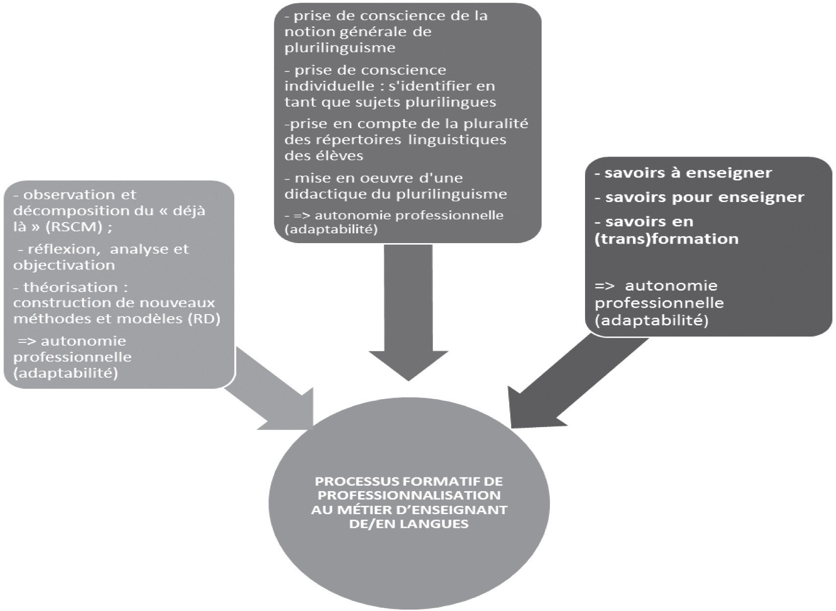 Figure 2 : Le modèle formatif (Causa, 2014)