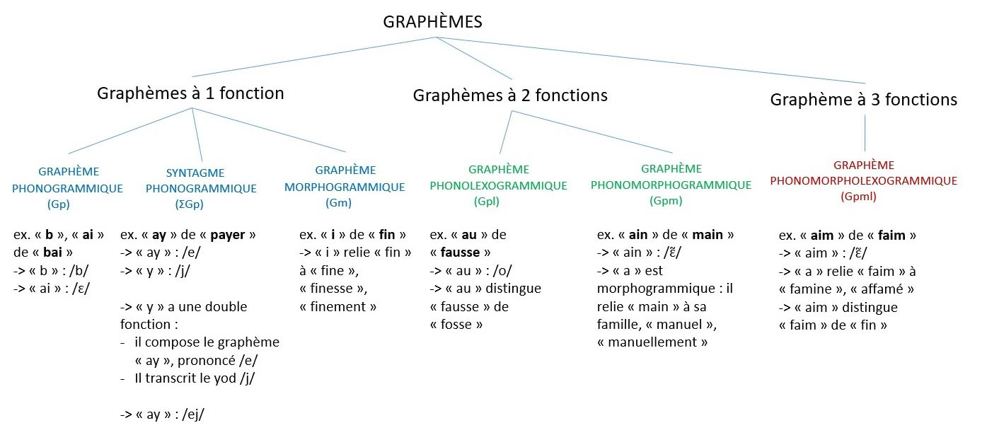 Figure 1 : Les différents types de graphèmes (d’après Gruaz, 2023)