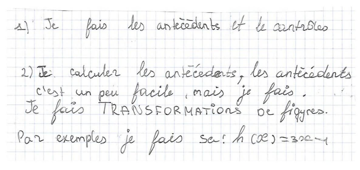 Figure 4 : Extrait du questionnaire no 1 de Amru