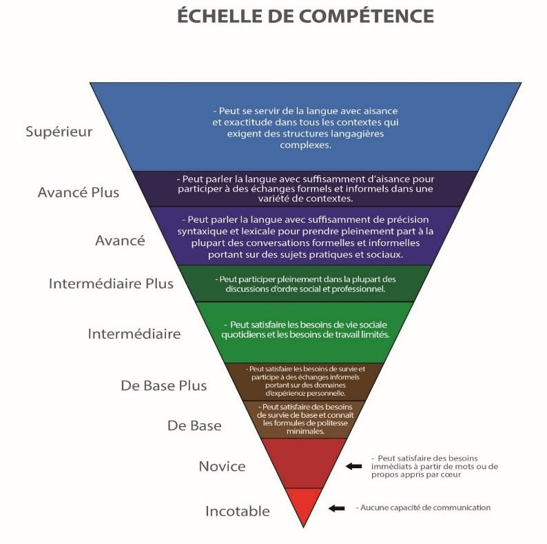 Figure 1 : Échelle des compétences ECOL2NB