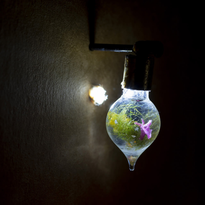 Fig. 2. Kasia Molga, How To Make An Ocean: The Mini Ocean – close up, 2021