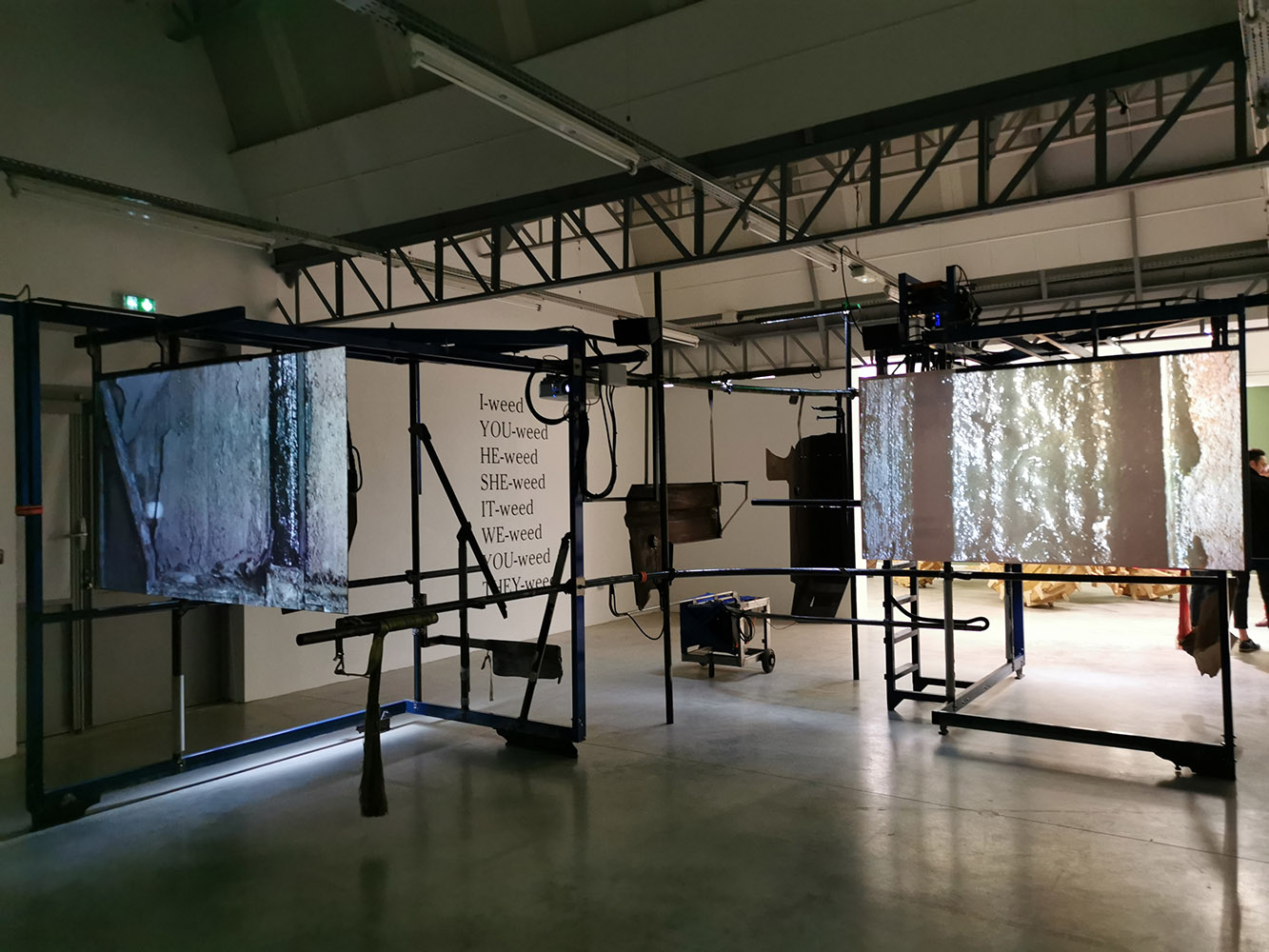 Fig 1 : 7460 Gina, Nicolas Tubéry, 2019.