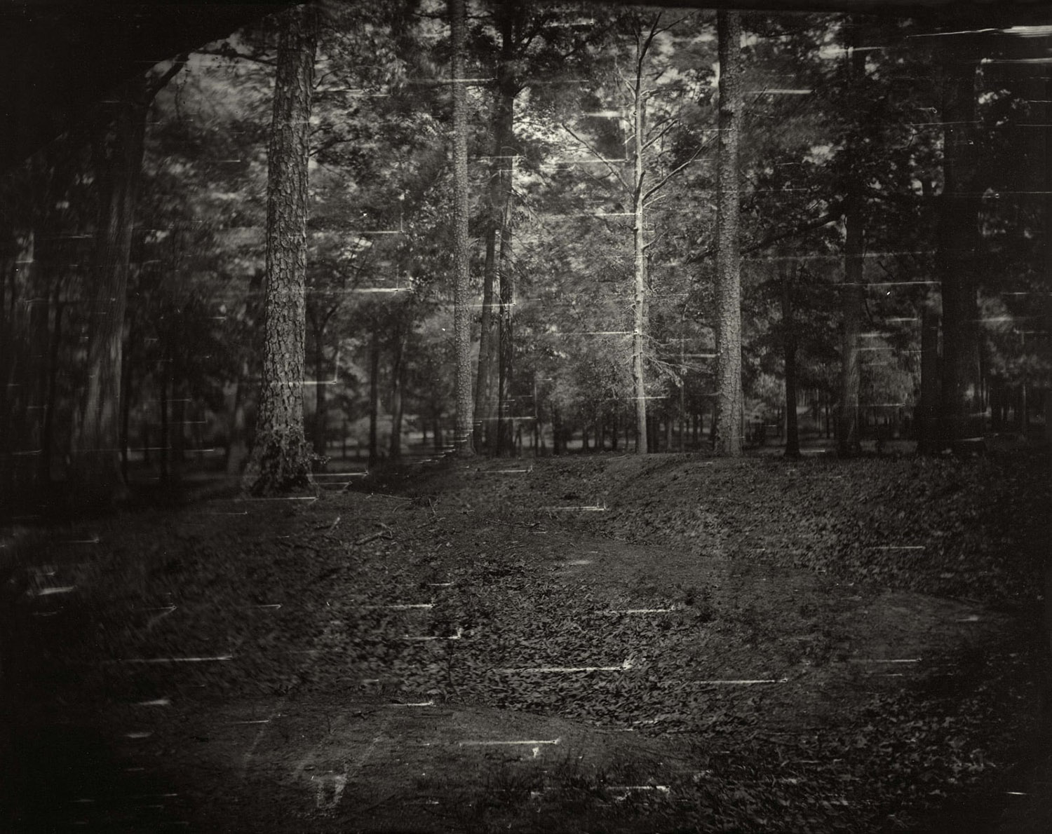 Sally Mann, Battlefields, Untitled, Cold Harbor (Battle), 2003.