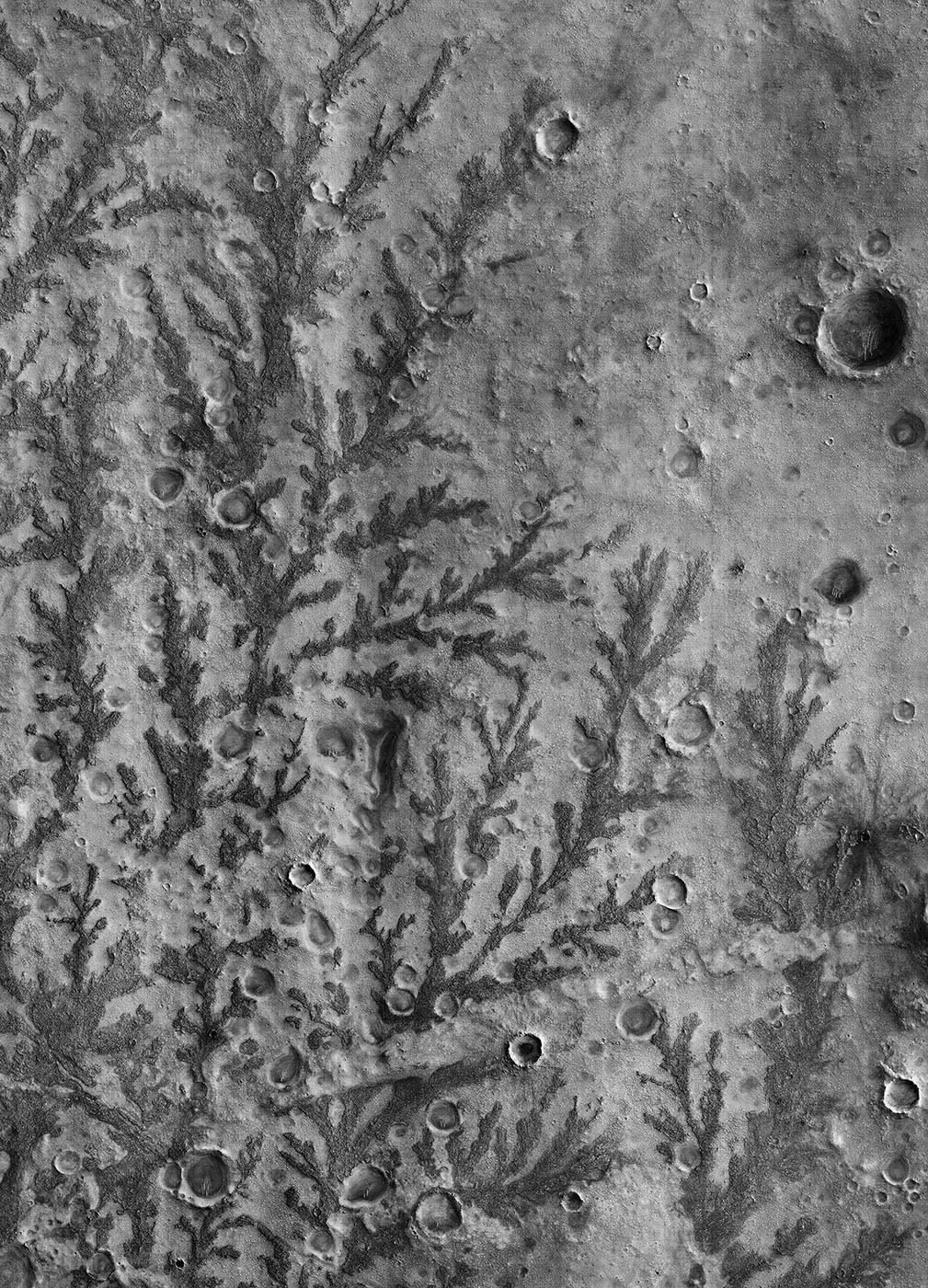 Fig. 5. Formes foliesques sur le fond du cratère Antoniadi, 2013