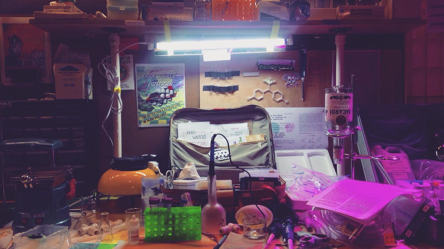 Fig. 6. Mary Maggic, Estrofemlab, 2021