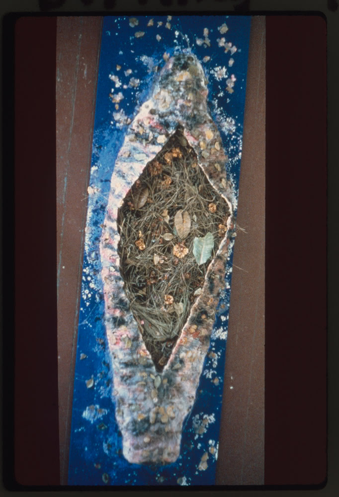 Fig.2 : Photographie de la momie préparée pour le rituel. Faith Wilding, Invitation to a Burning, 1980