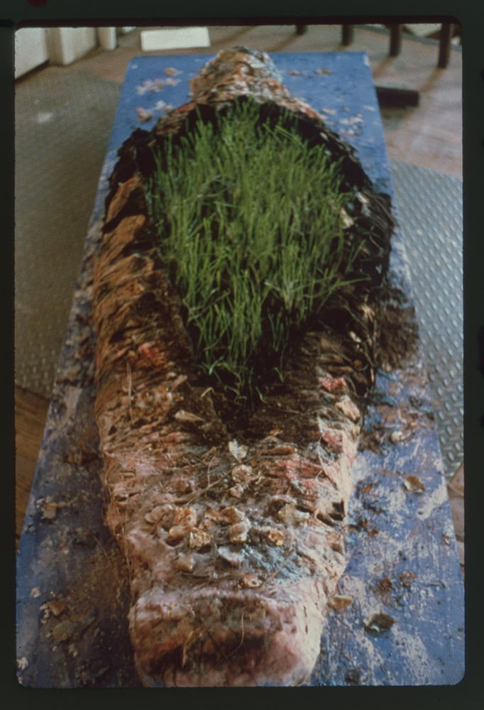 Fig.4 : Photographie de la momie après que les graines aient commencé à pousser. Faith Wilding, Invitation to a Burning, 1980