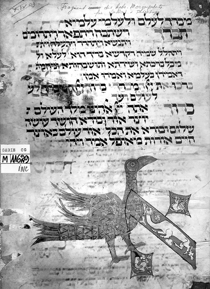 Fig. 8 : Colmar, BM Inc. CG 11629 / fr. 1