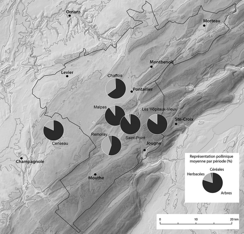 Figure 4 : Couvert végétal du Moyen Âge central en Jura central d’après les spectres polliniques