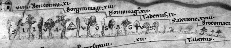 Figure 1. Détail de la table de Peutinger laissant apparaître le massif vosgien (« silva vosagus »).