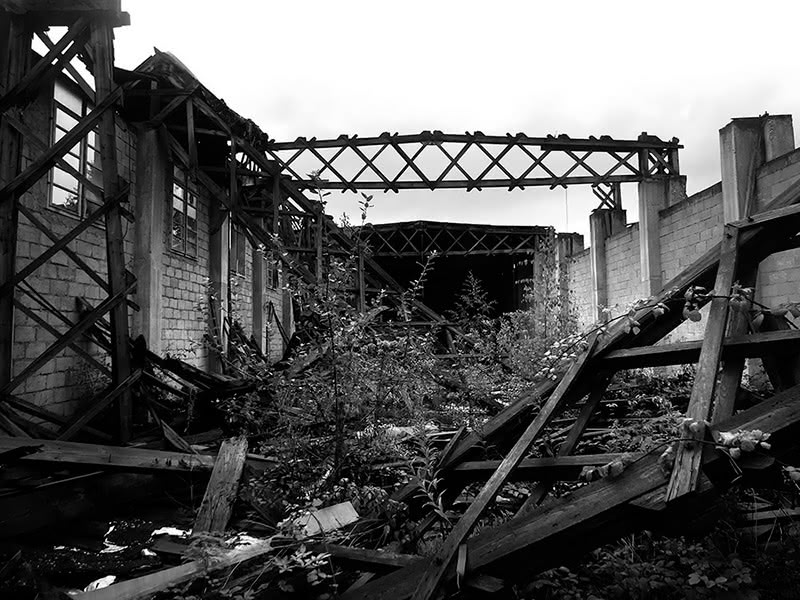 Figure 13 : Vestiges de la charpente de la forge au sein d’une filature de La Claquette