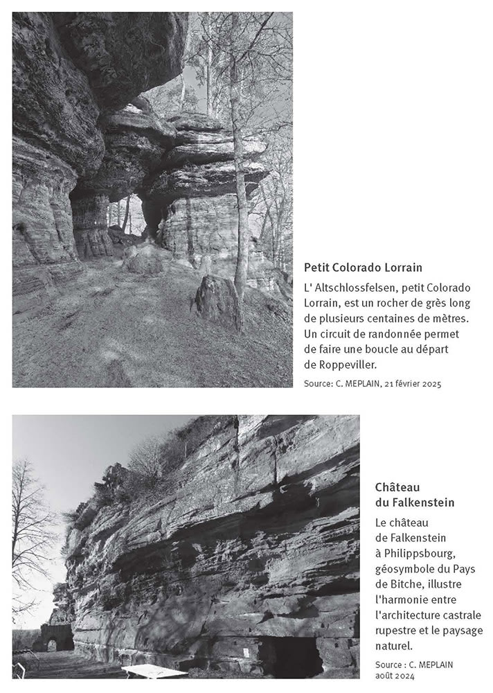 Figure 4. Géosites et géosymboles du Pays de Bitche, Vosges du Nord