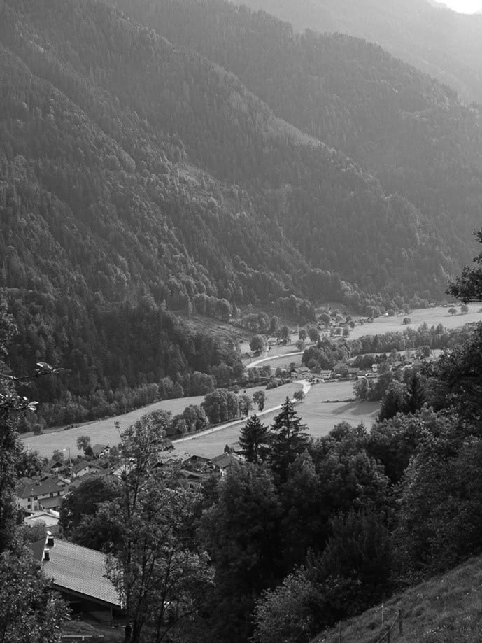 Figure 4 : Une vallée du Beaufortain, les espaces plats sont dédiés à faire des « prés de fauche », tandis que les pentes sont abandonnées